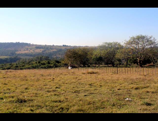 231HA FARM FOR SALE IN EAST LONDON RURAL